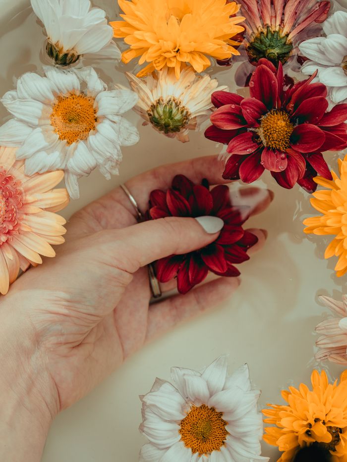 A calming bath scene with a hand touching vibrant flowers in a milk bath.